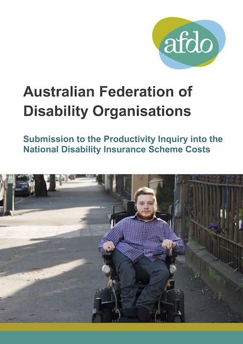 Screenshot of the cover of the submission. It has a photo of Disability Loop Project Officer Carl Thompson using his wheelchair on an inner urban footpath. 