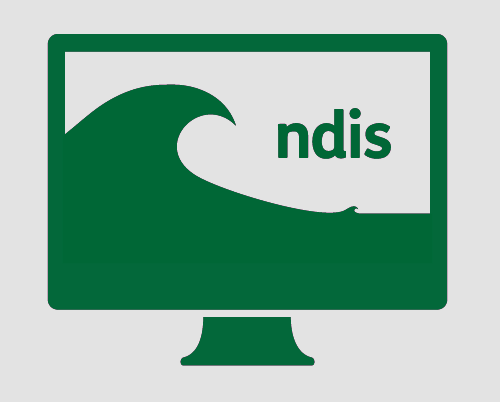 A monitor with the ocean; one huge wave and one small wave, and NDIS.